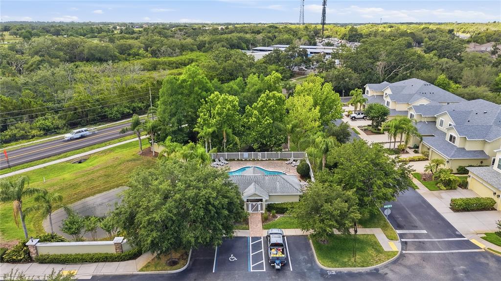 497 Harbor Ridge Drive Palm Harbor, FL 34683 - Photo 43 of 52