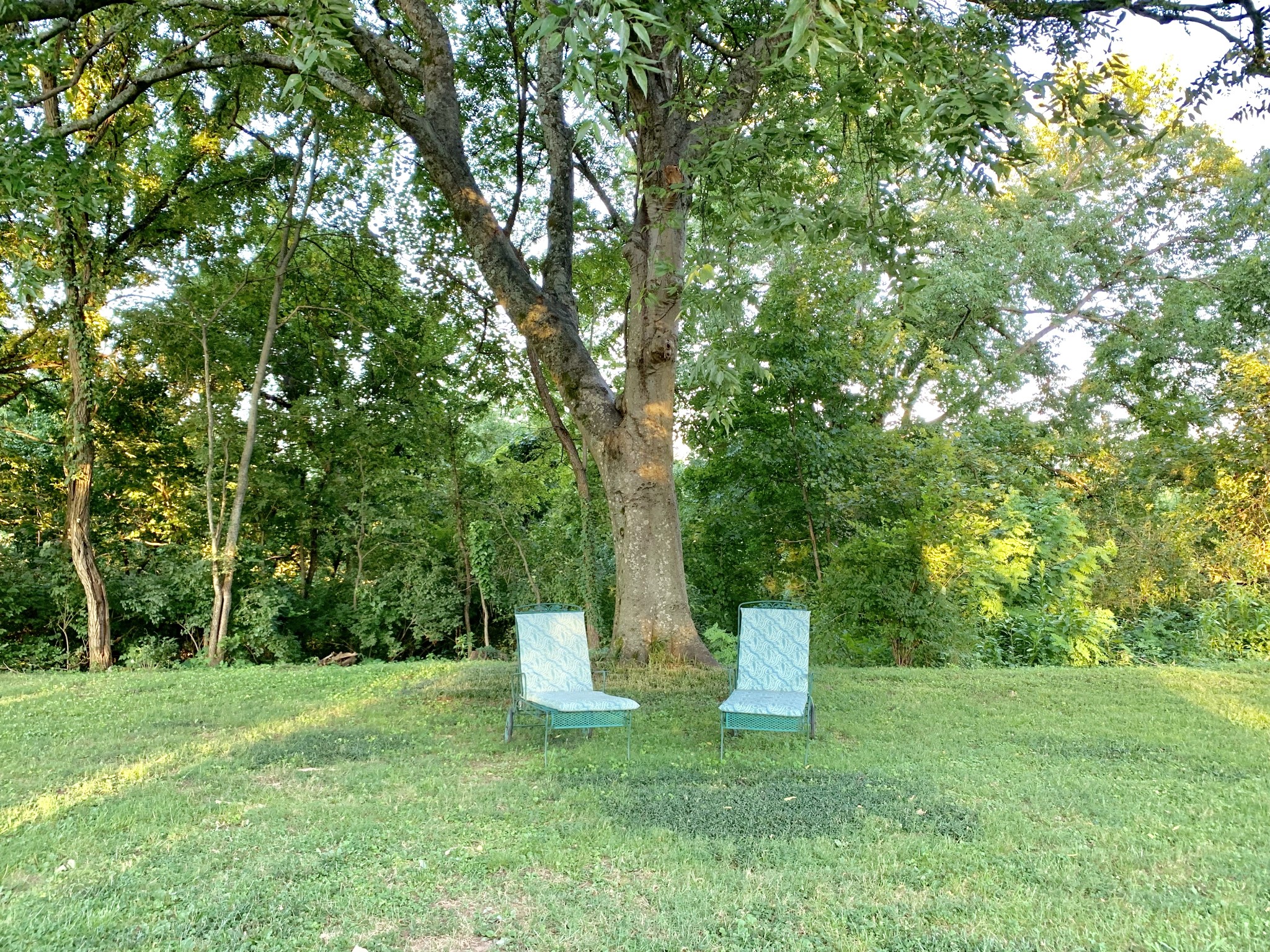5330 Weber Road Hermitage, TN 37076 - Photo 35 of 40 Gallery Image 35