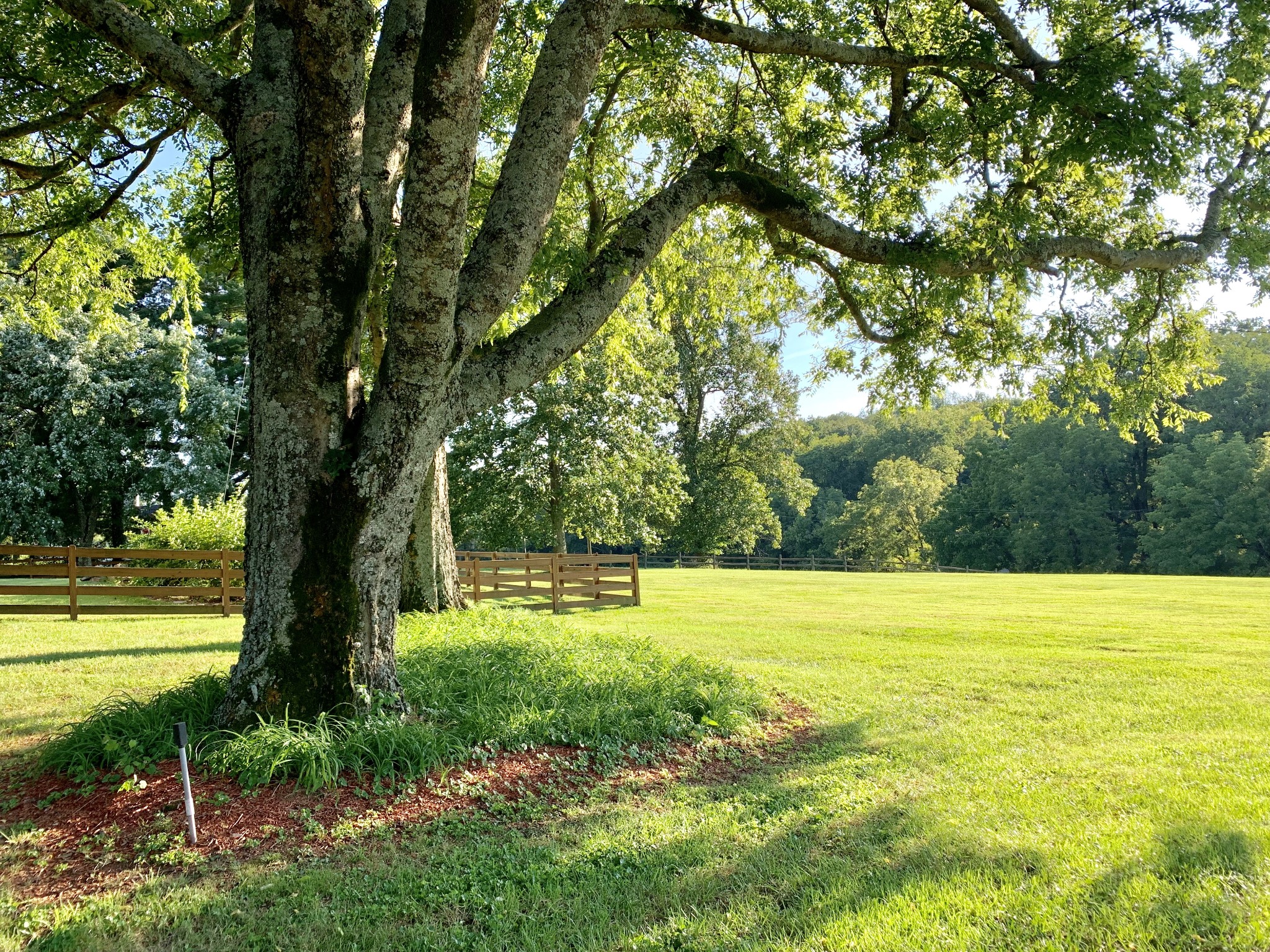 5330 Weber Road Hermitage, TN 37076 - Photo 36 of 40 Gallery Image 36