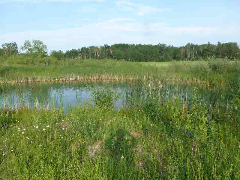 2100 Kindig Road Alger, MI 48610 - Photo 5 of 28