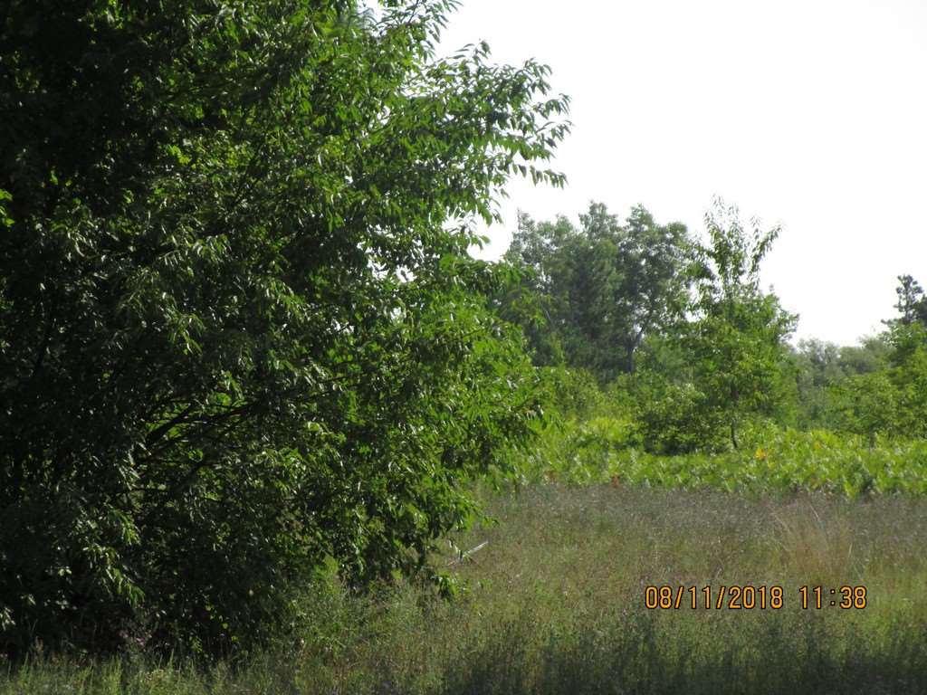 302 Thomas Road Kalkaska, MI 49646 - Photo 33 of 40 1851550-32.JPG