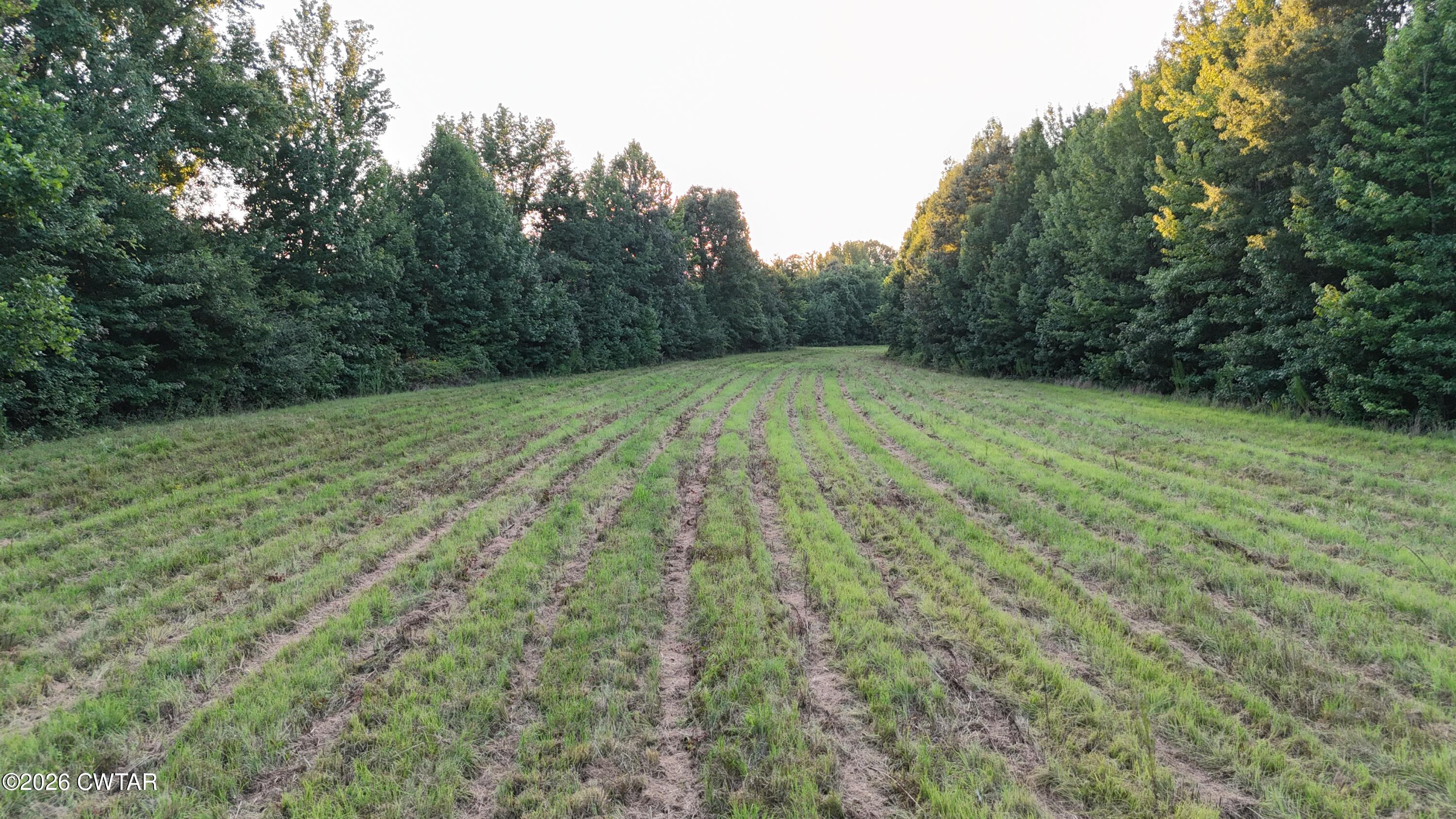 0 Roberts Road Pinson, TN 38366 - Photo 10 of 18 IMG_1086