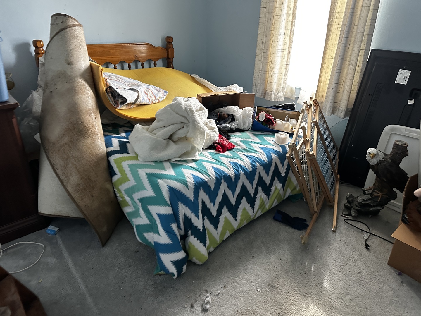 2517 Casey Avenue Mount Vernon, IL 62864 - Photo 8 of 16