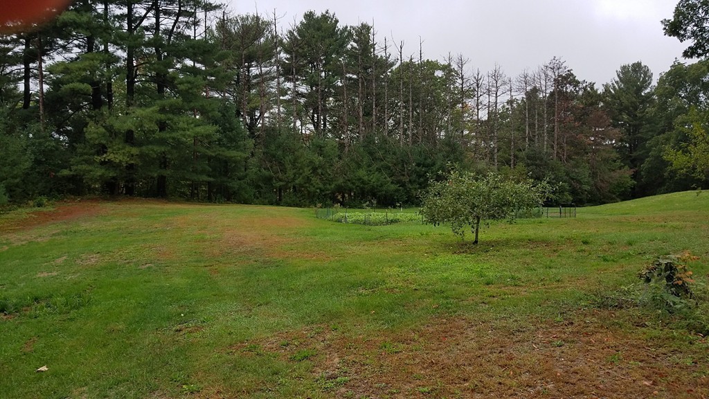 65 Old Worcester Road Webster, MA 01570 - Photo 7 of 7 Gallery Image 7