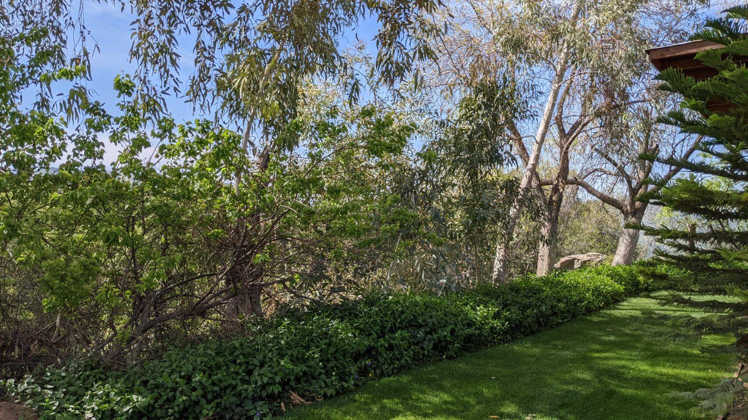 39513 Pepperweed Road Squaw Valley, CA 93675 - Photo 8 of 20 Gallery Image 8
