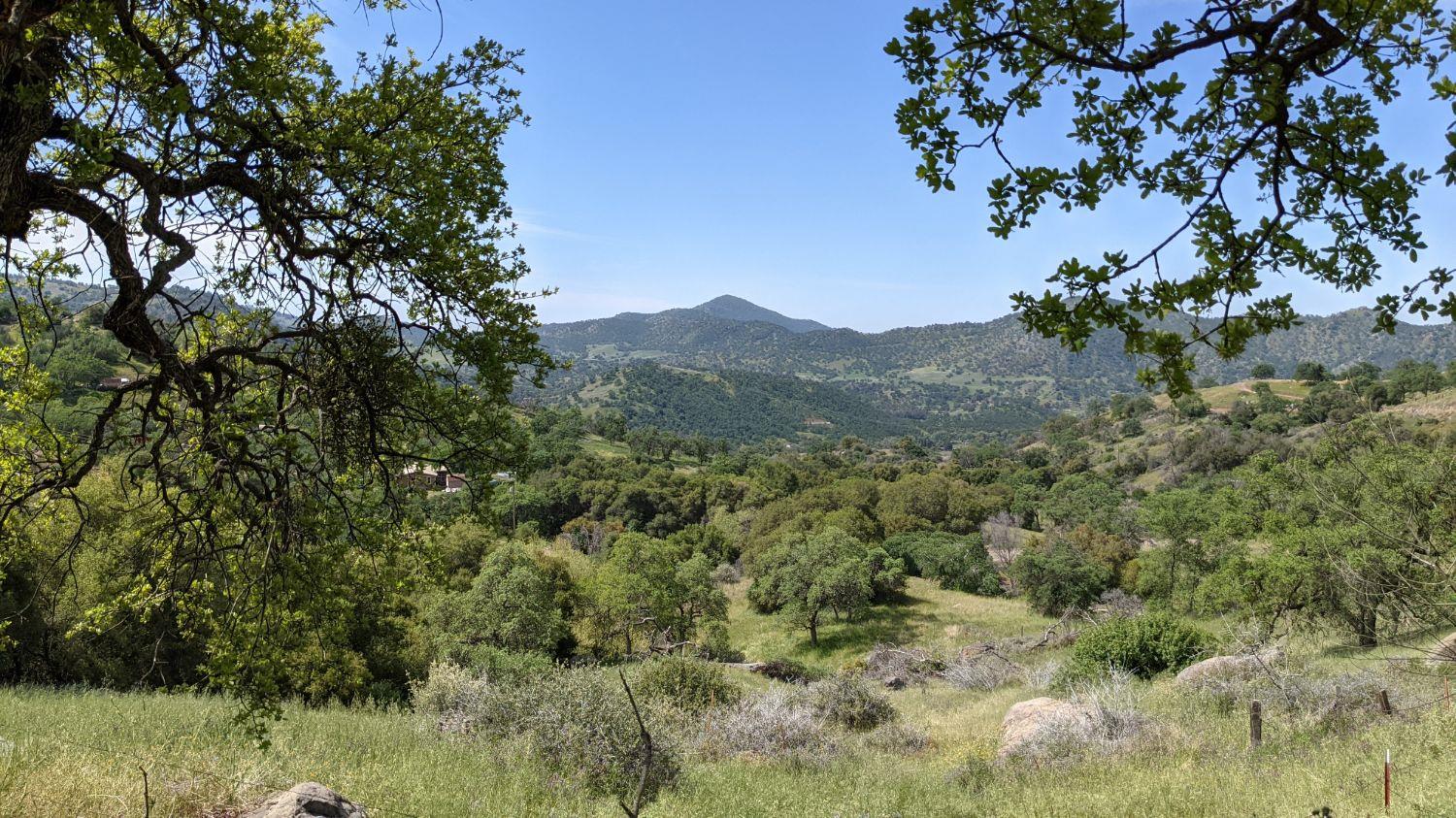 39513 Pepperweed Road Squaw Valley, CA 93675 - Photo 9 of 20 Gallery Image 9