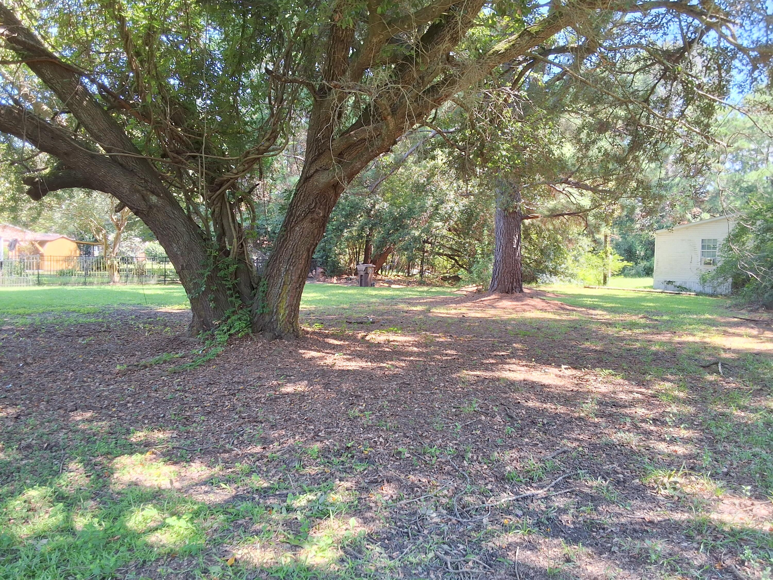 212 Rifle Lane Moncks Corner, SC 29461 - Photo 8 of 39 1000018793