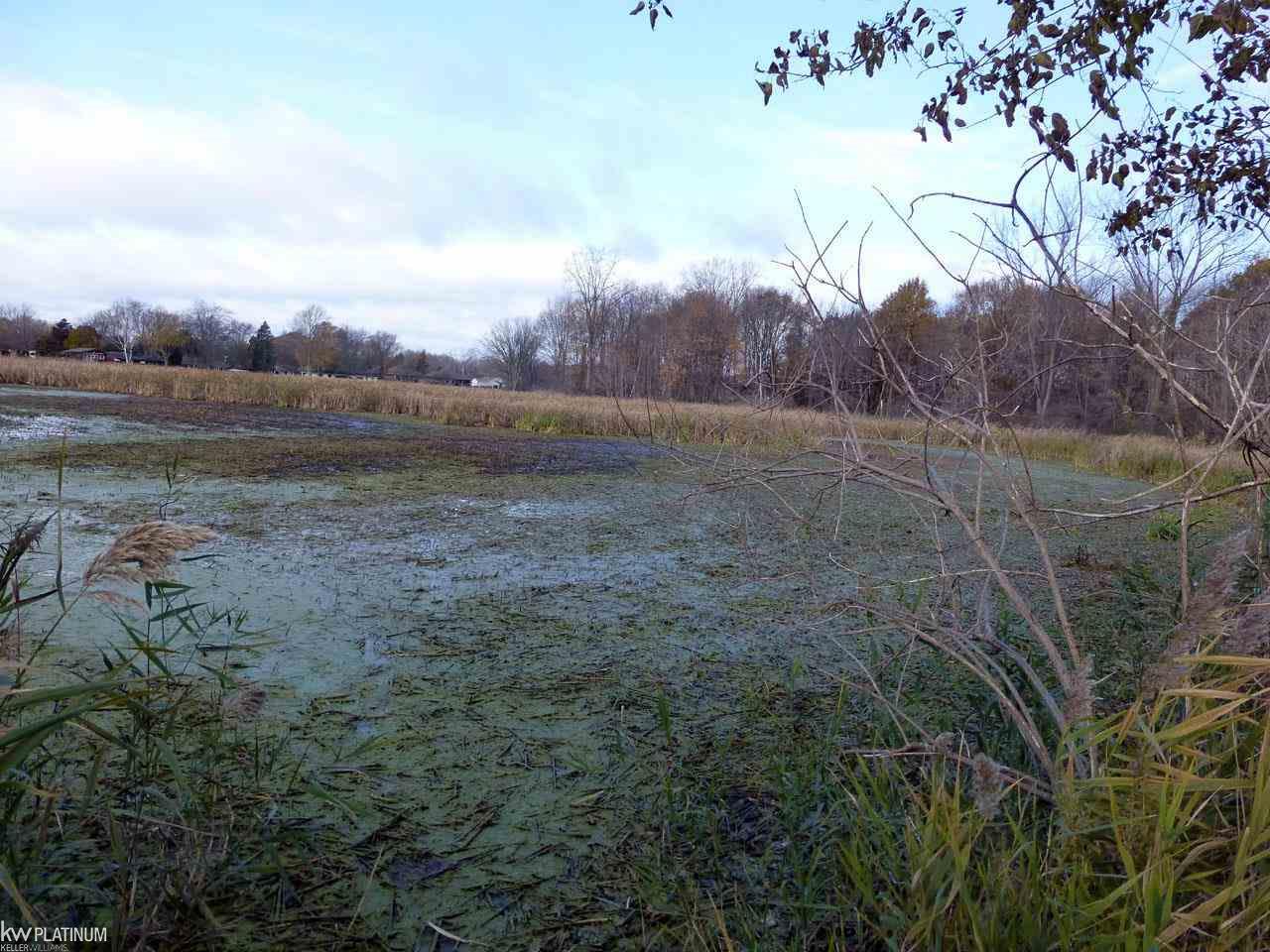 33479 Hooker Road Chesterfield, MI 48047 - Photo 4 of 56
