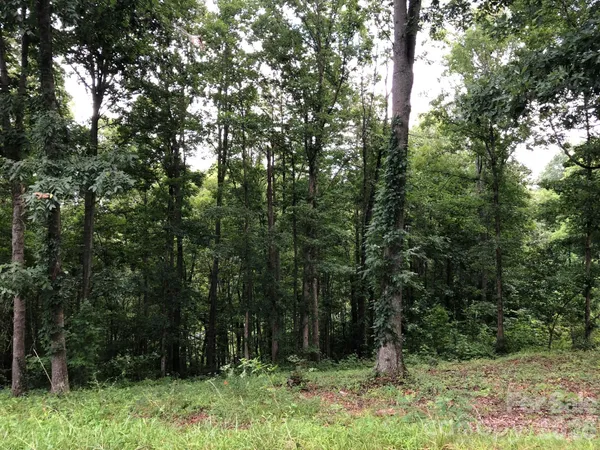 $239,000 | 45 Sweet Fern Parkway, Unit 43, Asheville, NC 28804