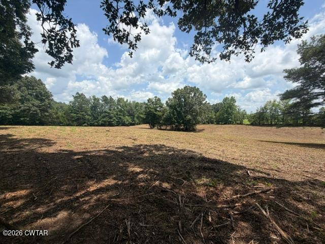 0 McBride Cemetery Road Sardis, TN 38371 - Photo 23 of 54 thumbnail (23)