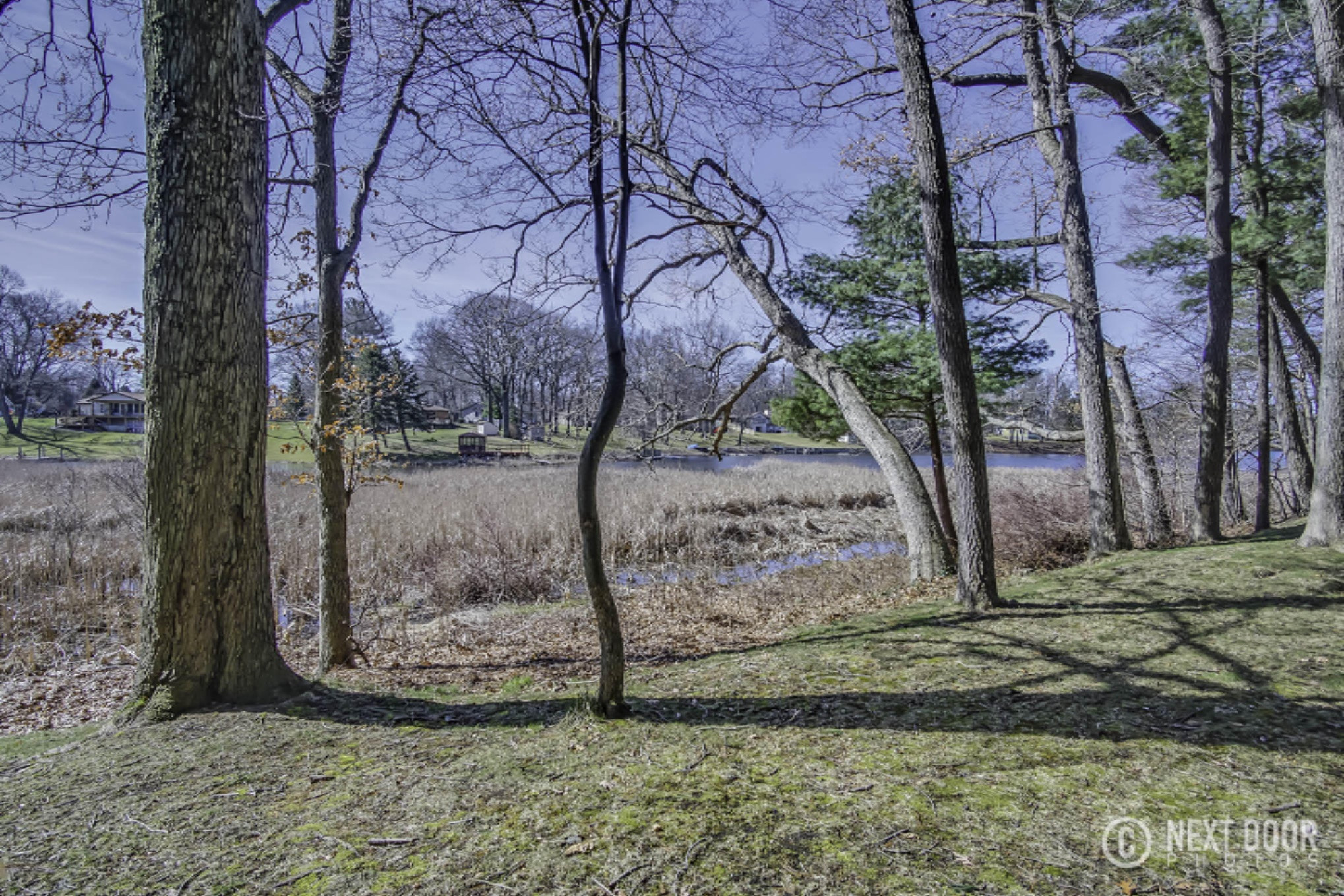 15490 Oak Ridge Drive Spring Lake, MI 49456 - Photo 29 of 83 DSC08680Blending
