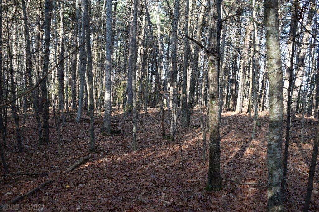 Tbd Spring Dale Road Southwest Floyd, VA 24091 - Photo 27 of 57 Gallery Image 27