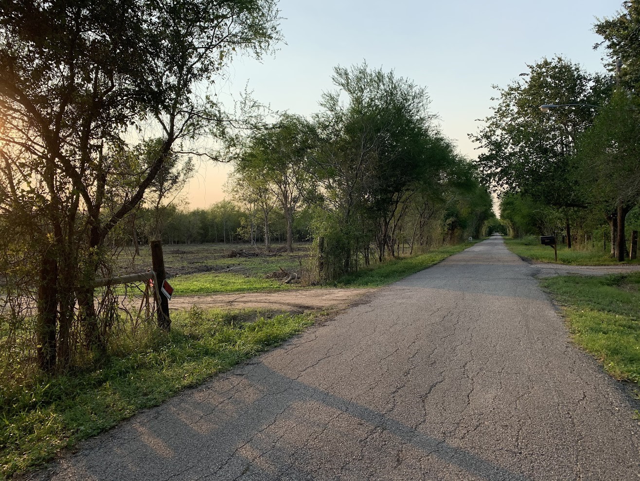 0 Skrivanek Road Sealy, TX 77474 - Photo 3 of 3 a view of backyard with green space
