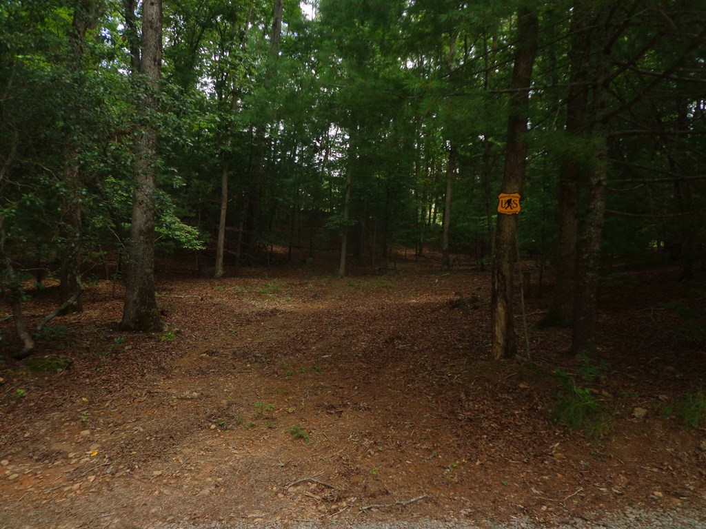 9547 Big Creek Road Ellijay, GA 30536 - Photo 62 of 81 Gallery Image 62