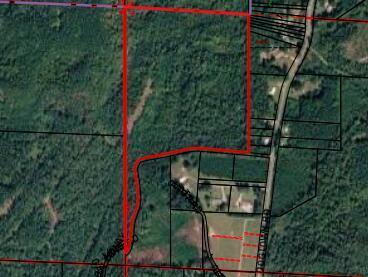 0 Dogtown Road Carbon Hill, AL 35549 - Photo 23 of 23 IMG_3755