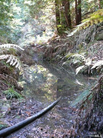 13305 Low Gap Road Ukiah, CA 95482 - Photo 1 of 4 Good spring, would need to be redeveloped.