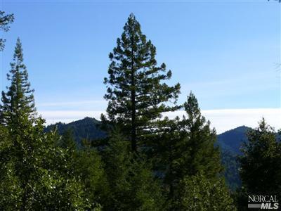 13305 Low Gap Road Ukiah, CA 95482 - Photo 2 of 4 Nice views from ridge top.