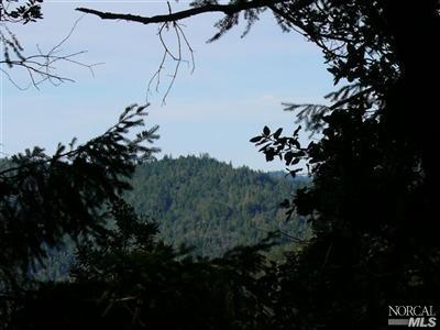 13305 Low Gap Road Ukiah, CA 95482 - Photo 4 of 4 Gallery Image 4