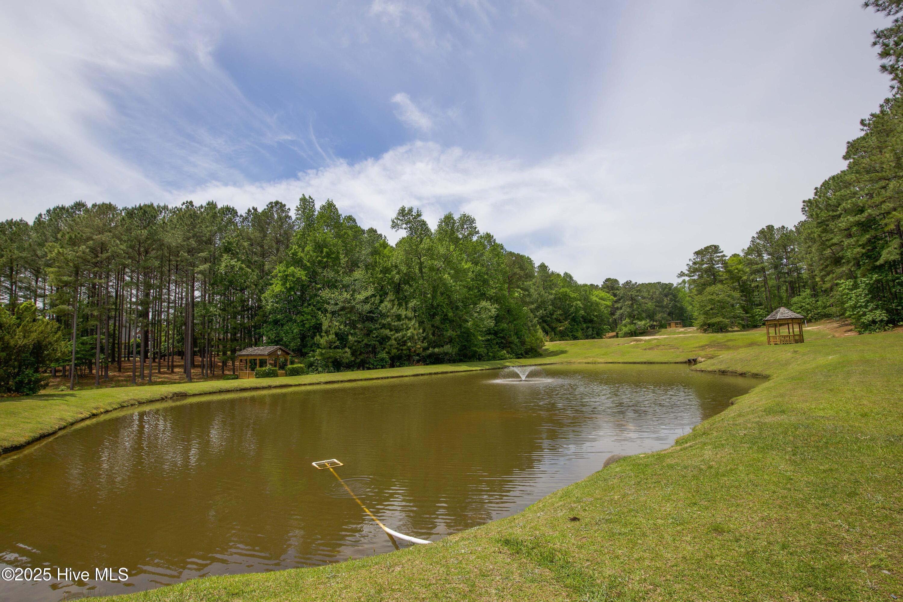 104 Pine Hawk Drive Spring Lake, NC 28390 - Photo 106 of 113 Anderson Creek amenities-17