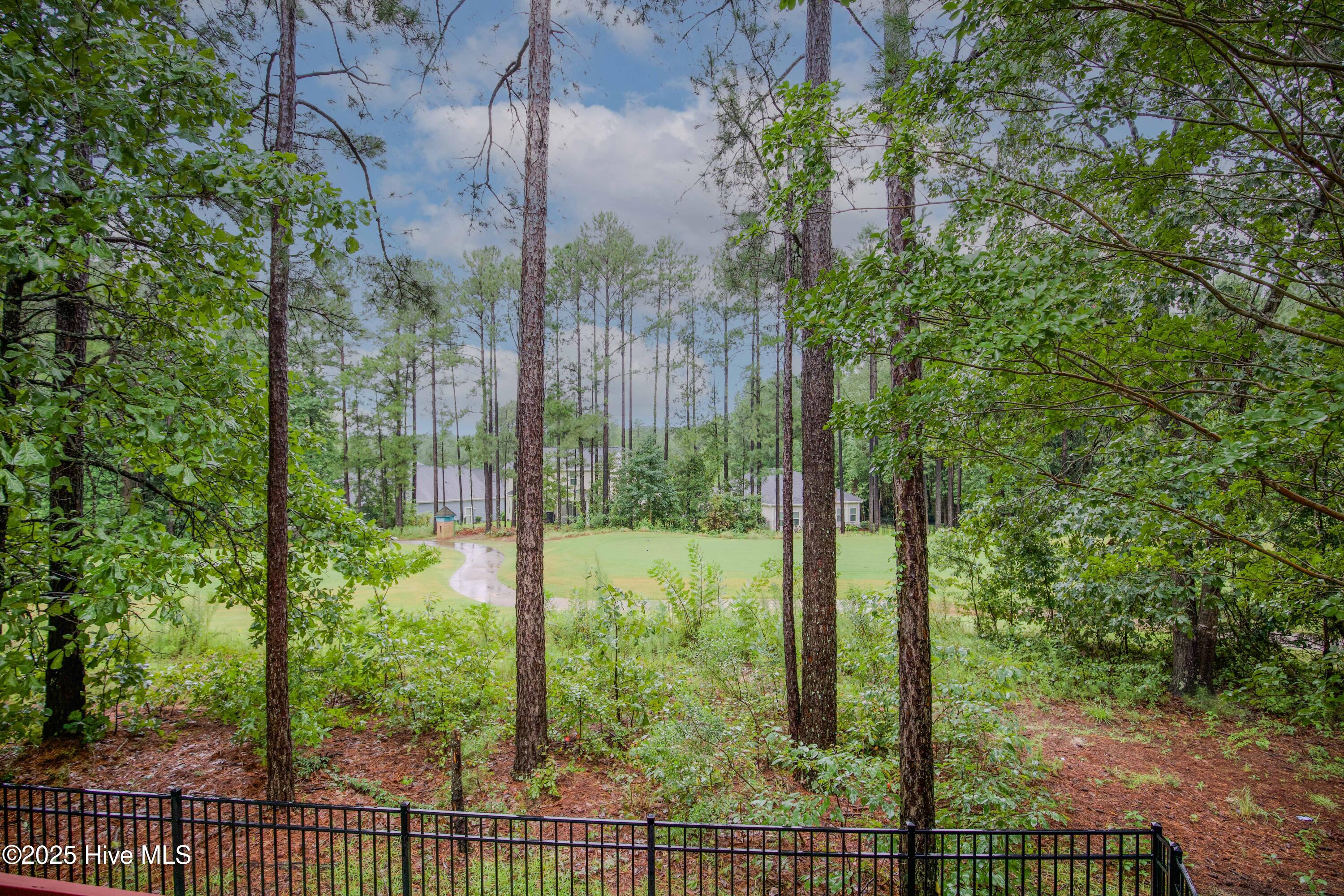 104 Pine Hawk Drive Spring Lake, NC 28390 - Photo 13 of 113 104 Pine Hawk Dr-59