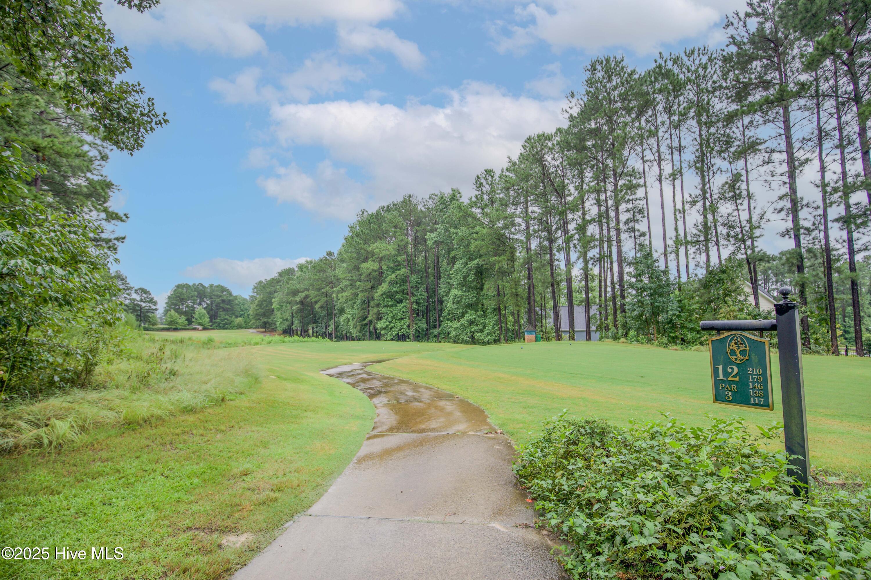 104 Pine Hawk Drive Spring Lake, NC 28390 - Photo 27 of 113 104 Pine Hawk Dr-77