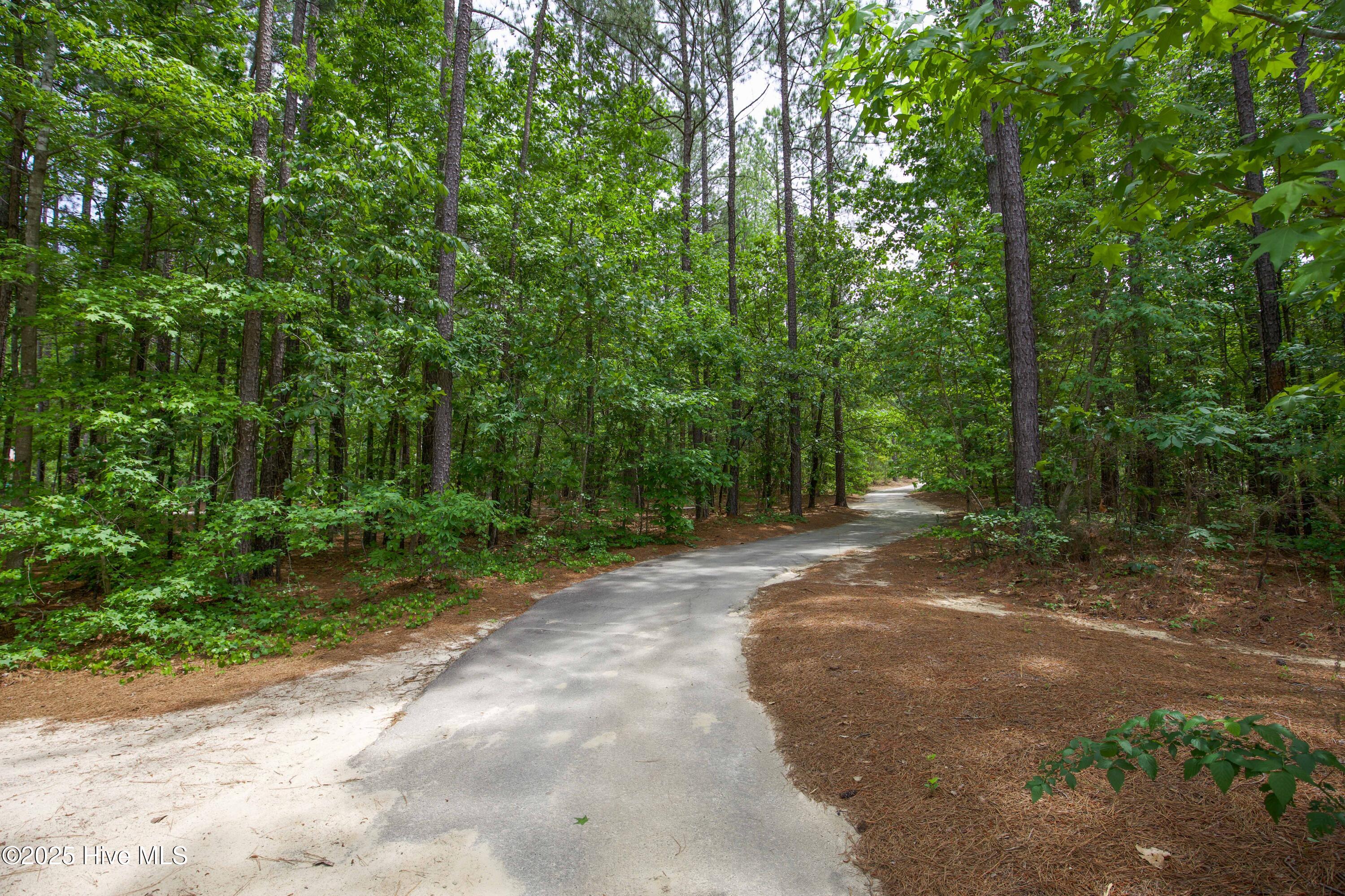 104 Pine Hawk Drive Spring Lake, NC 28390 - Photo 98 of 113 Anderson Creek amenities-8