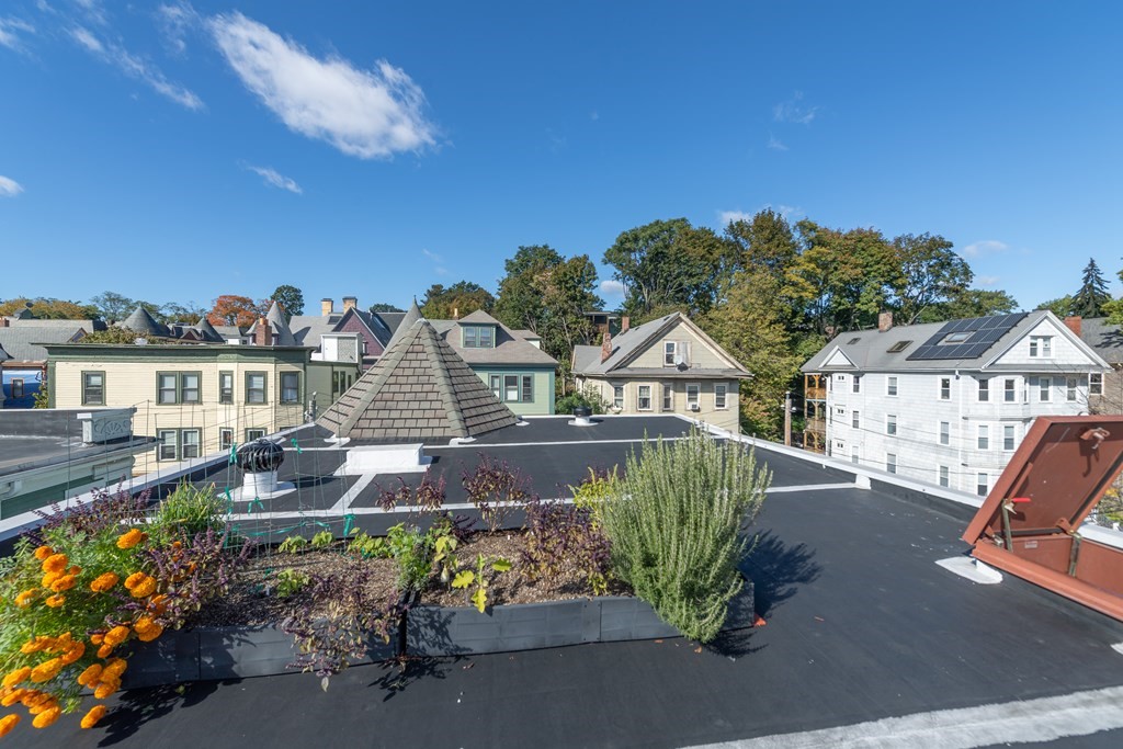 26 Danforth Street, Unit 3 Boston, MA 02130 - Photo 16 of 20 Gallery Image 16