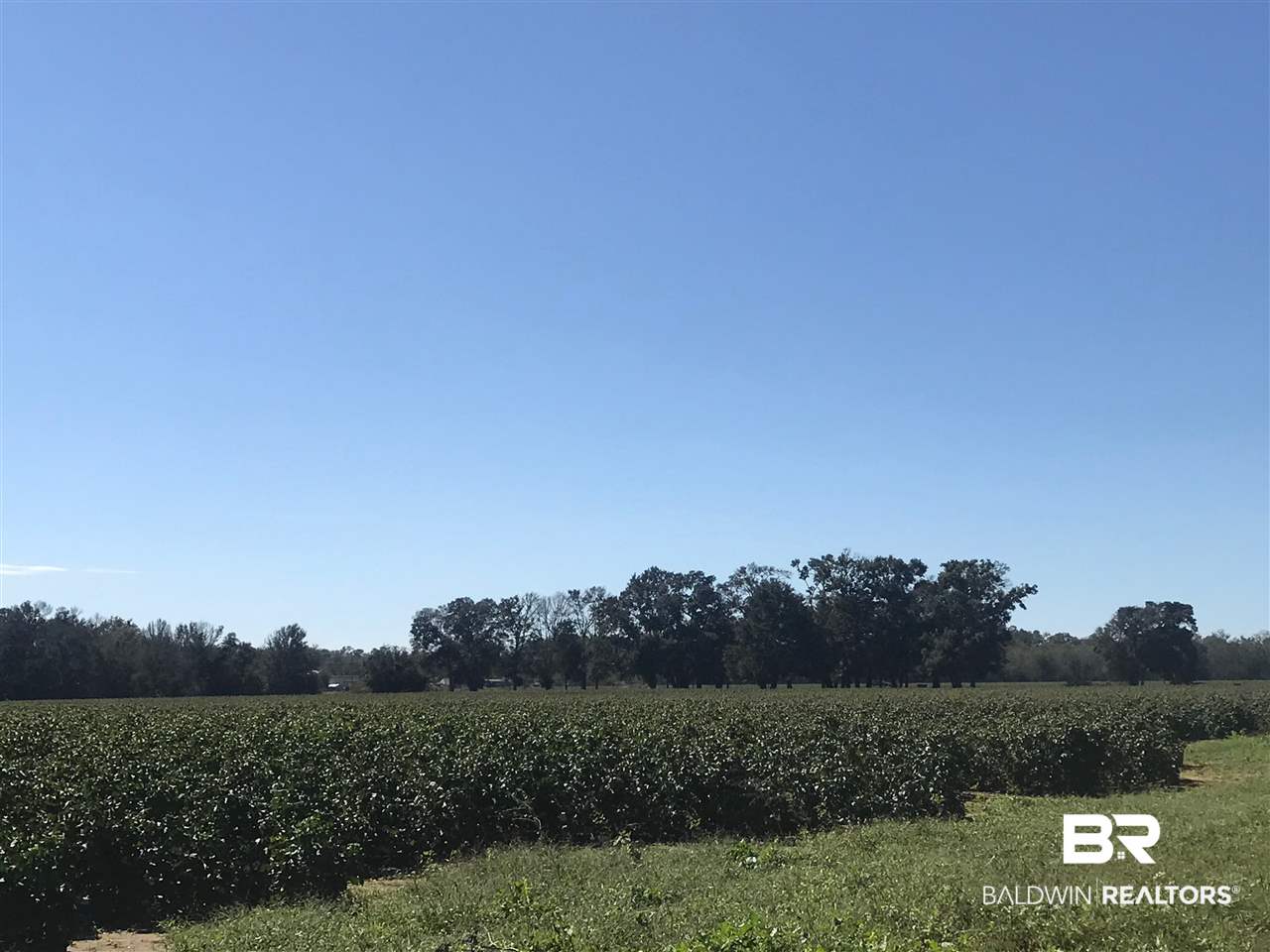 0 Rebel Road Daphne, AL 36526 - Photo 2 of 6 Gallery Image 2