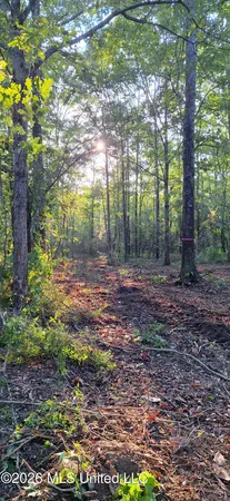 $99,000 | 26 Highway 26, Wiggins, MS 39577