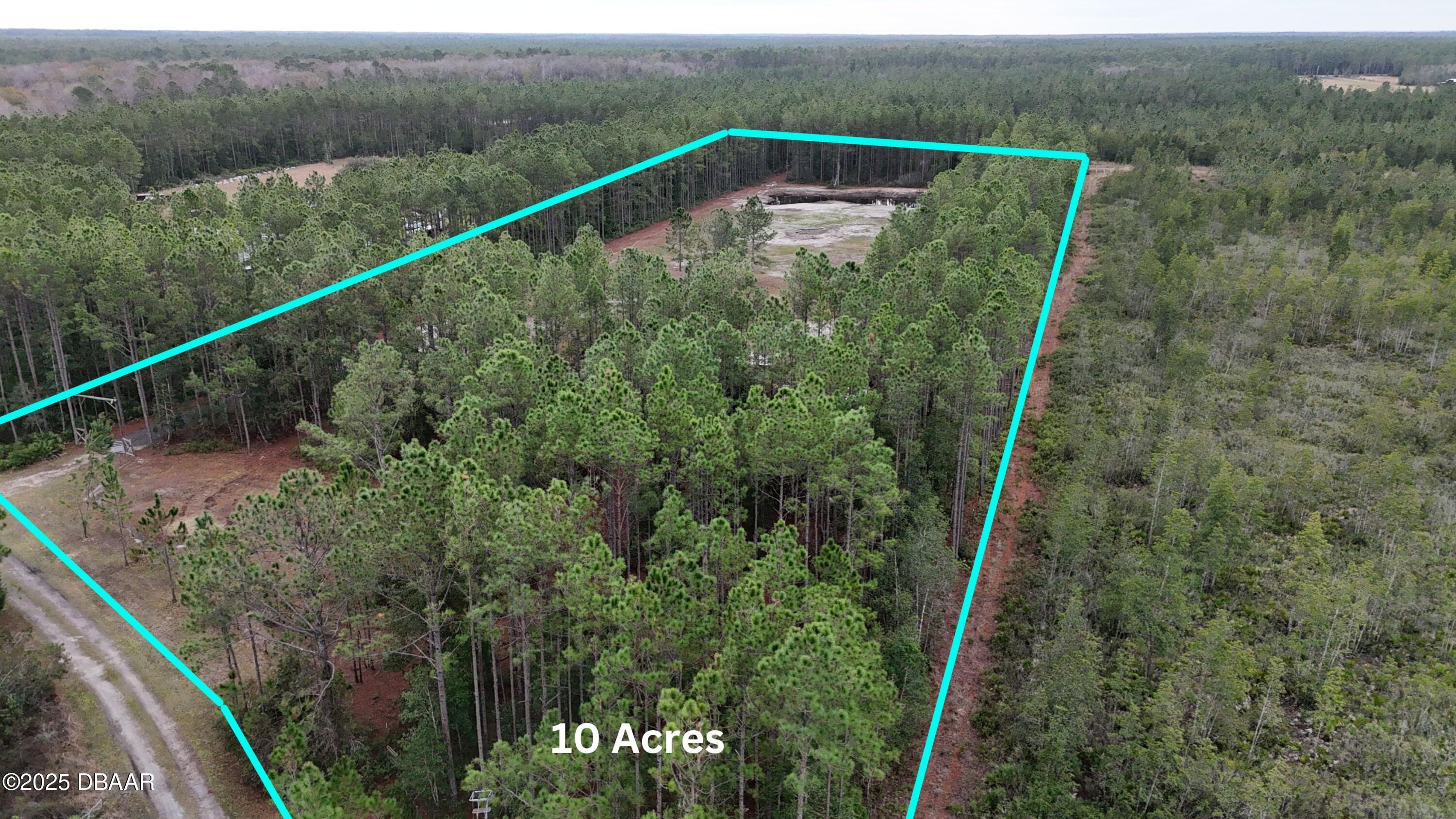 810 Wild Cur Road Pierson, FL 32180 - Photo 14 of 14 850 Wild Curr 13