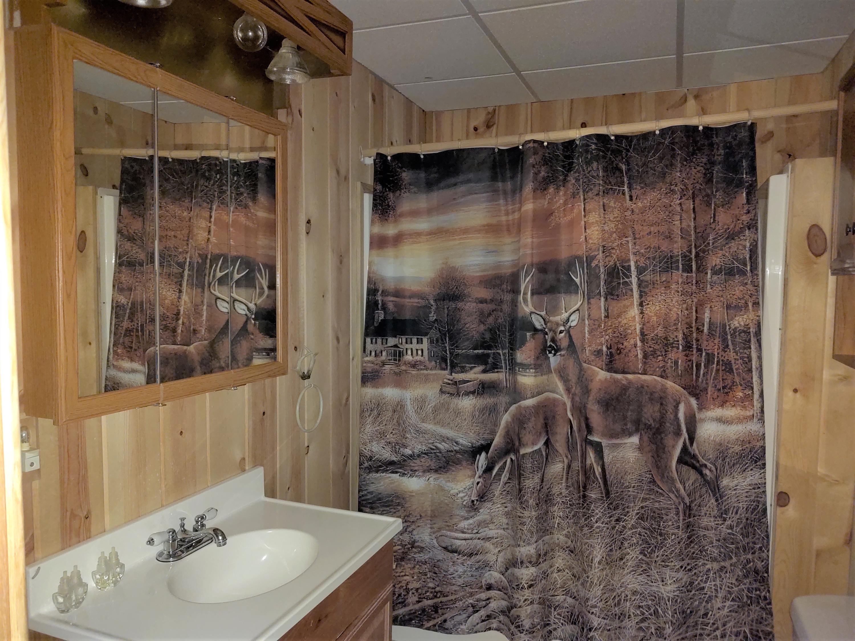 1626 Jacks Landing Road Hillman, MI 49746 - Photo 11 of 34 Gallery Image 11