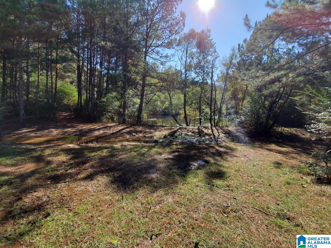 681 Graves Cemetery Road Blountsville, AL 35031 - Photo 18 of 22