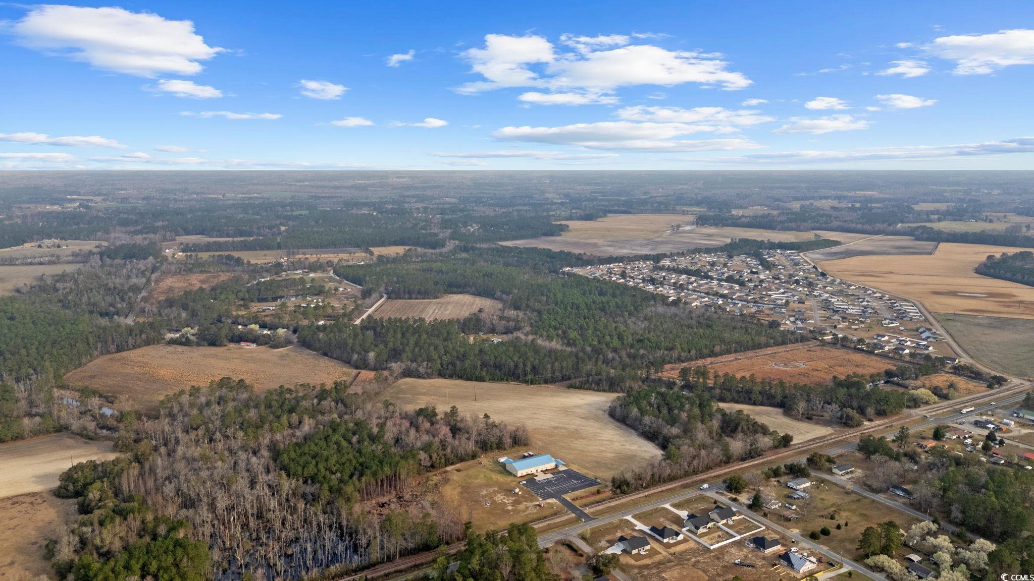 Lot 5 Apple Valley Road Loris, SC 29569 - Photo 13 of 18