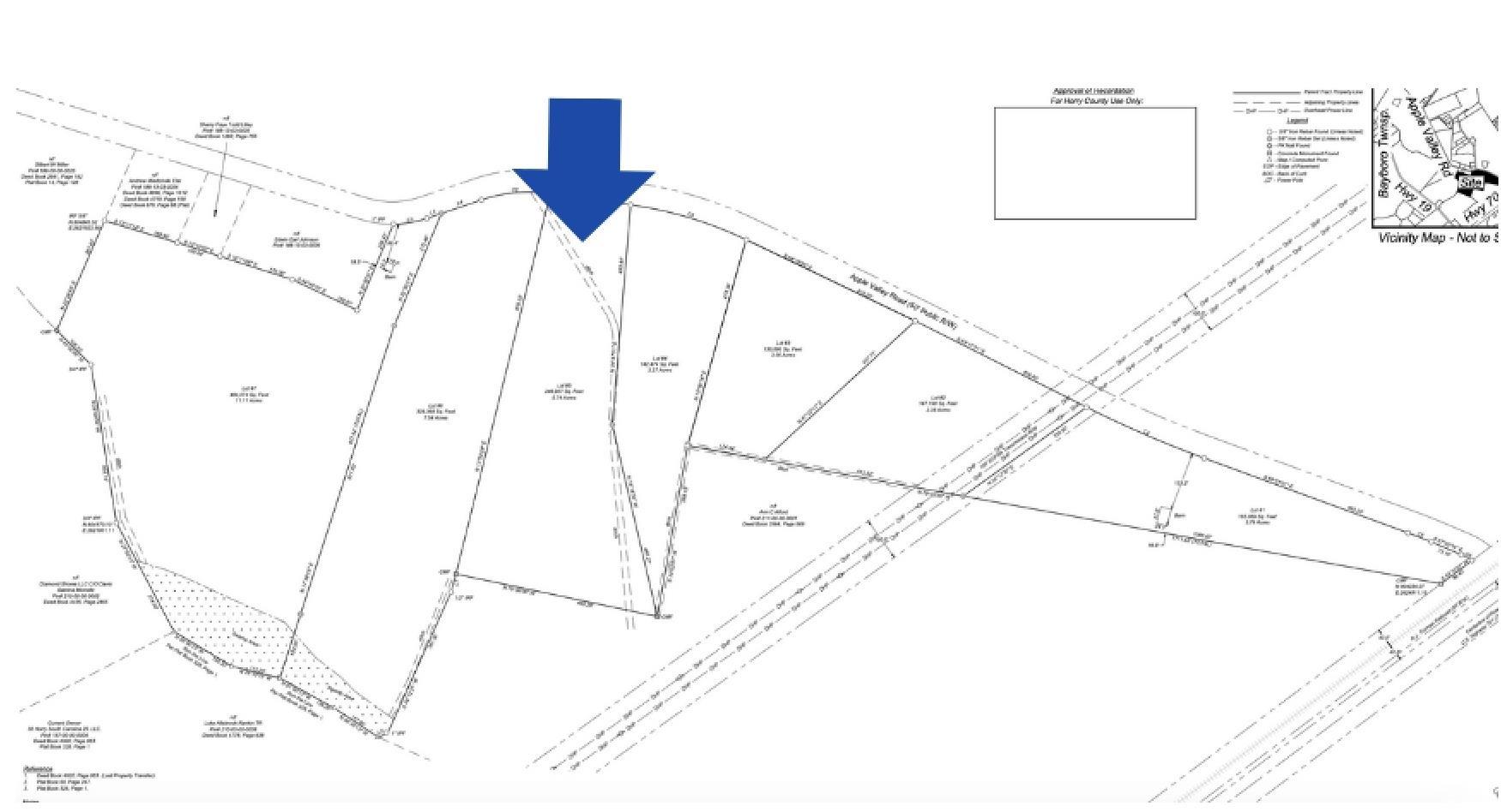 Lot 5 Apple Valley Road Loris, SC 29569 - Photo 4 of 18