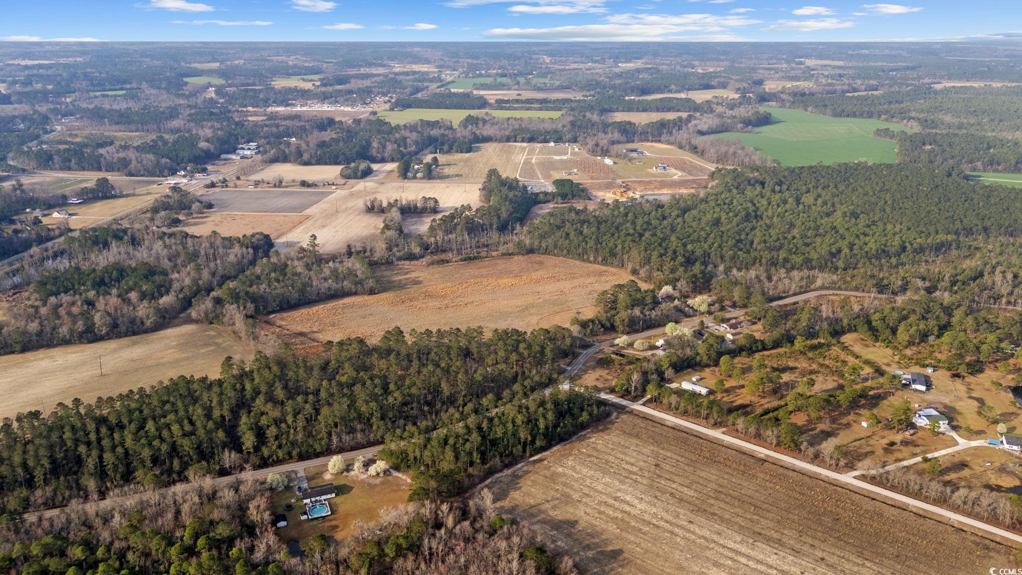 Lot 5 Apple Valley Road Loris, SC 29569 - Photo 5 of 18