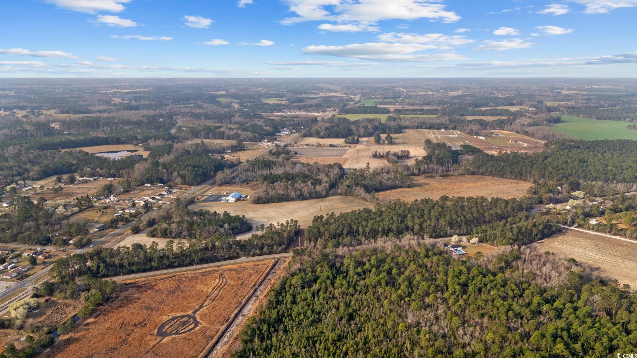 Lot 5 Apple Valley Road Loris, SC 29569 - Photo 6 of 18