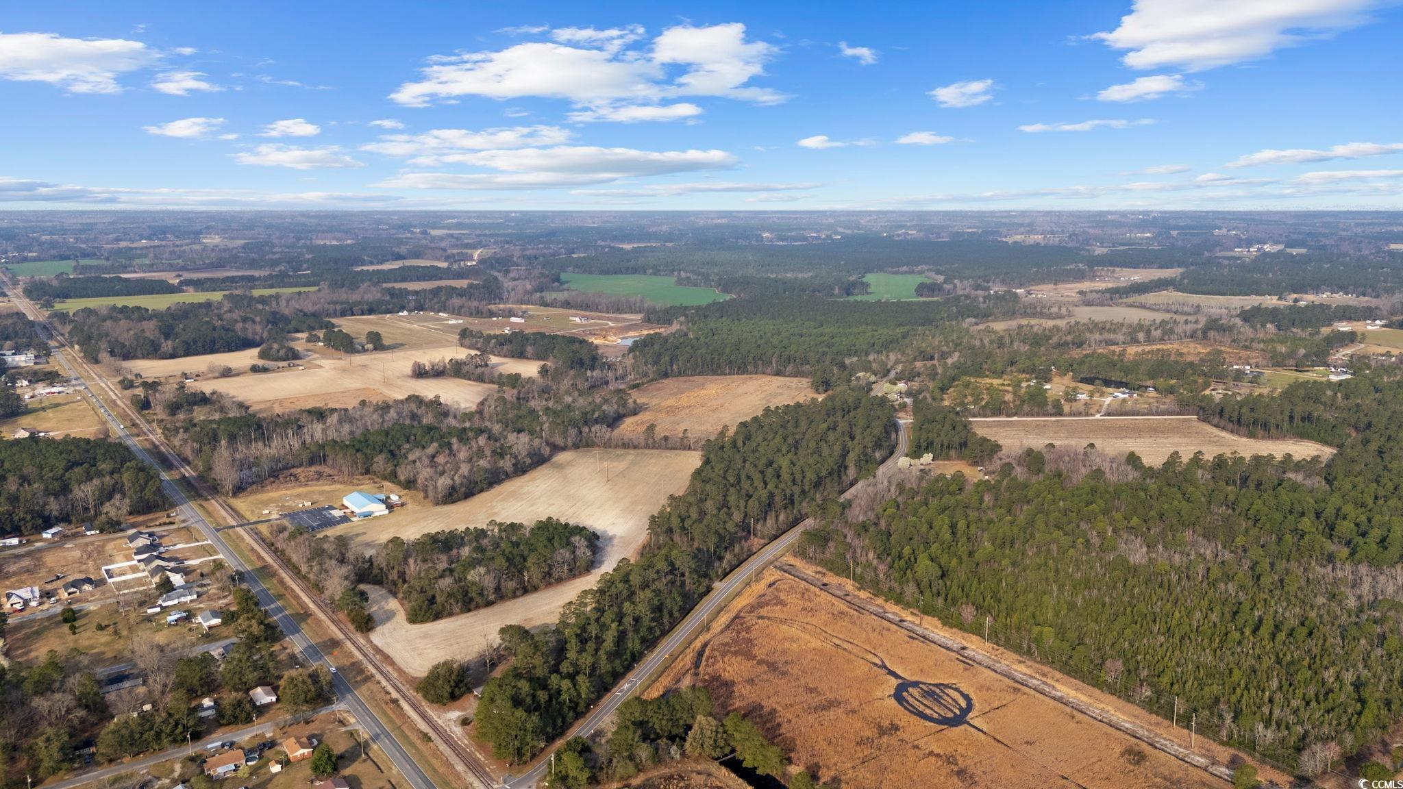 Lot 5 Apple Valley Road Loris, SC 29569 - Photo 10 of 18