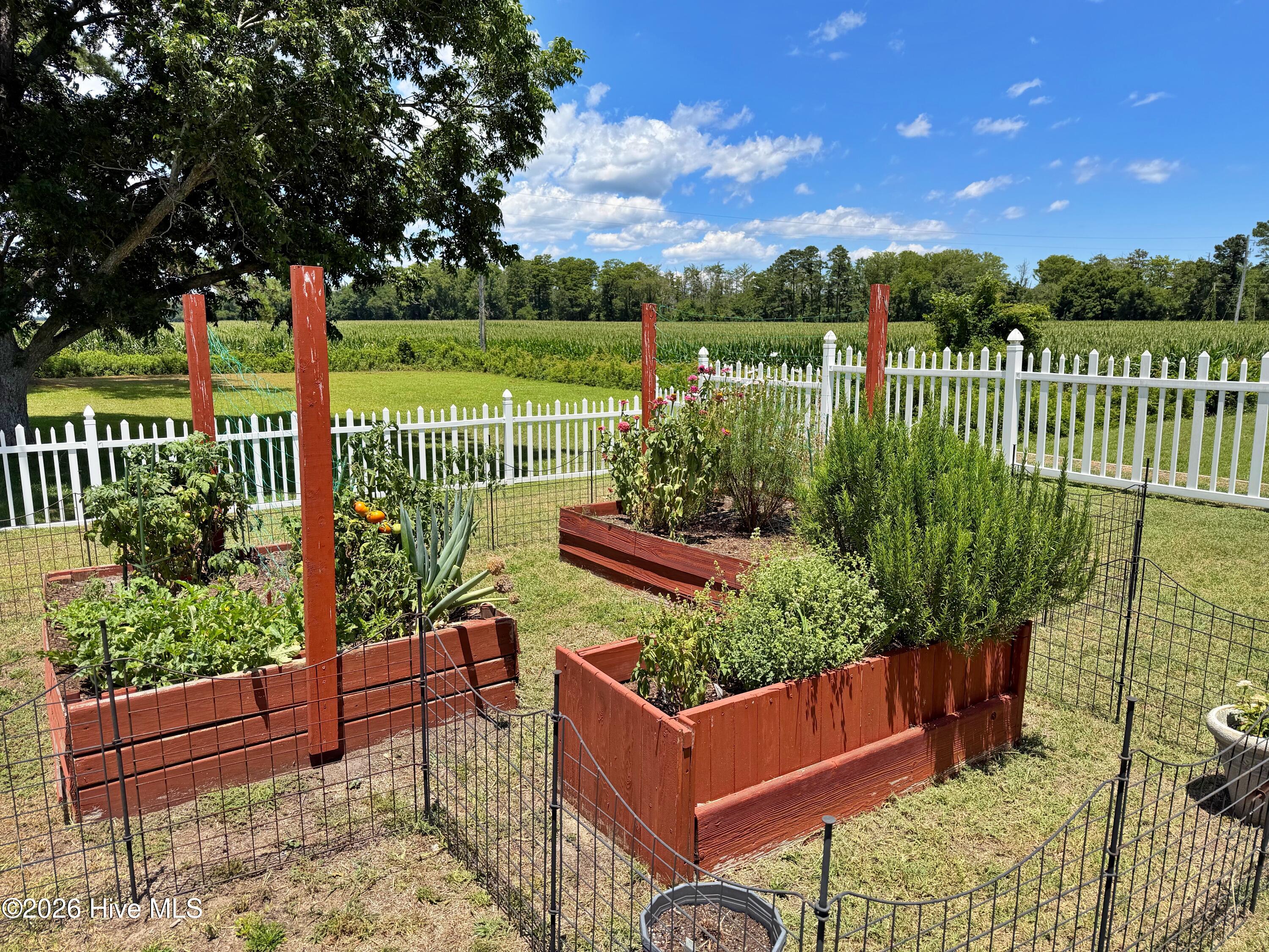 481 River Road Arapahoe, NC 28510 - Photo 60 of 70 raised bed