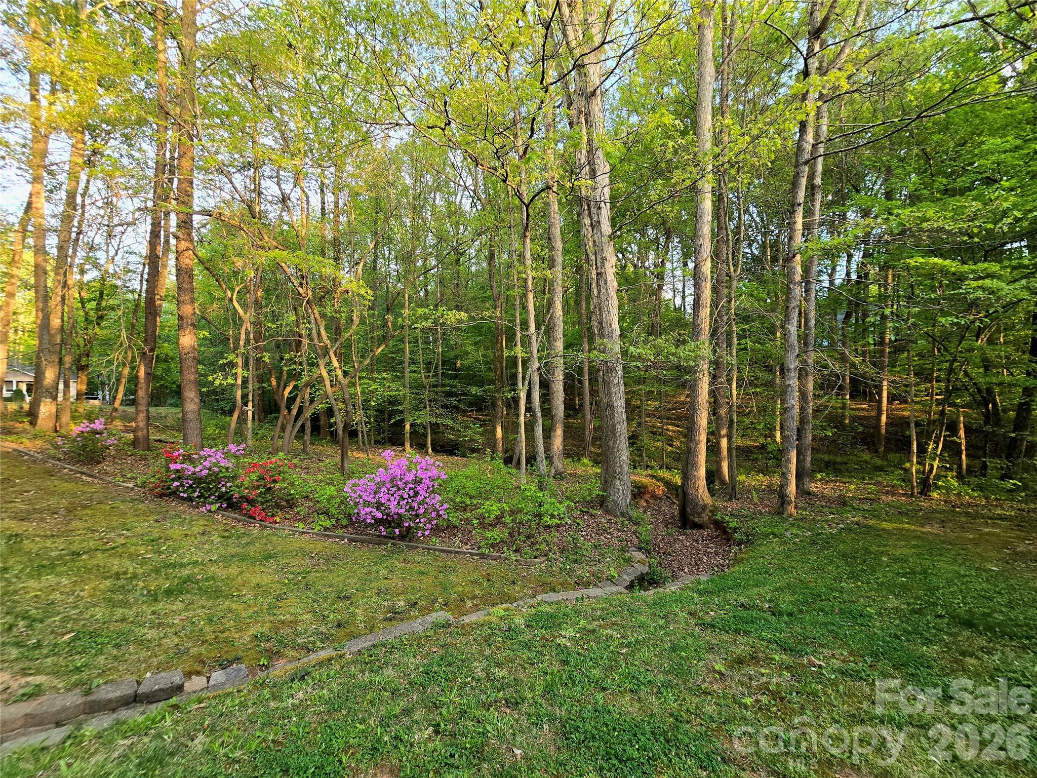 146 Misty Spring Road Troutman, NC 28166 - Photo 3 of 17