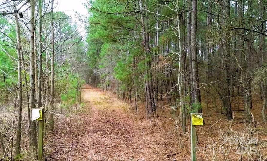 0 White Store Road Pageland, SC 29728 - Photo 1 of 13 Gallery Image 1