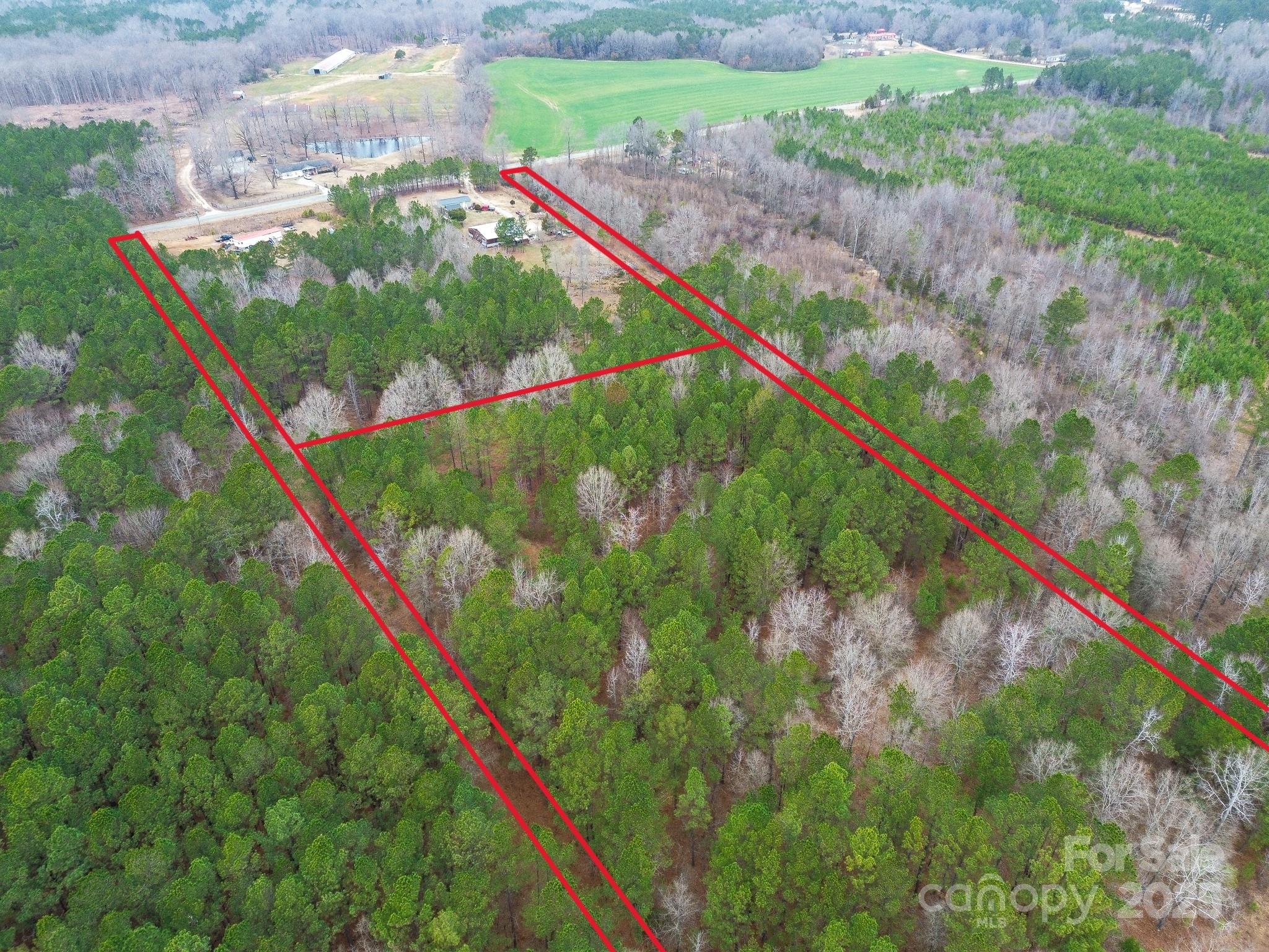0 White Store Road Pageland, SC 29728 - Photo 11 of 13 Gallery Image 11