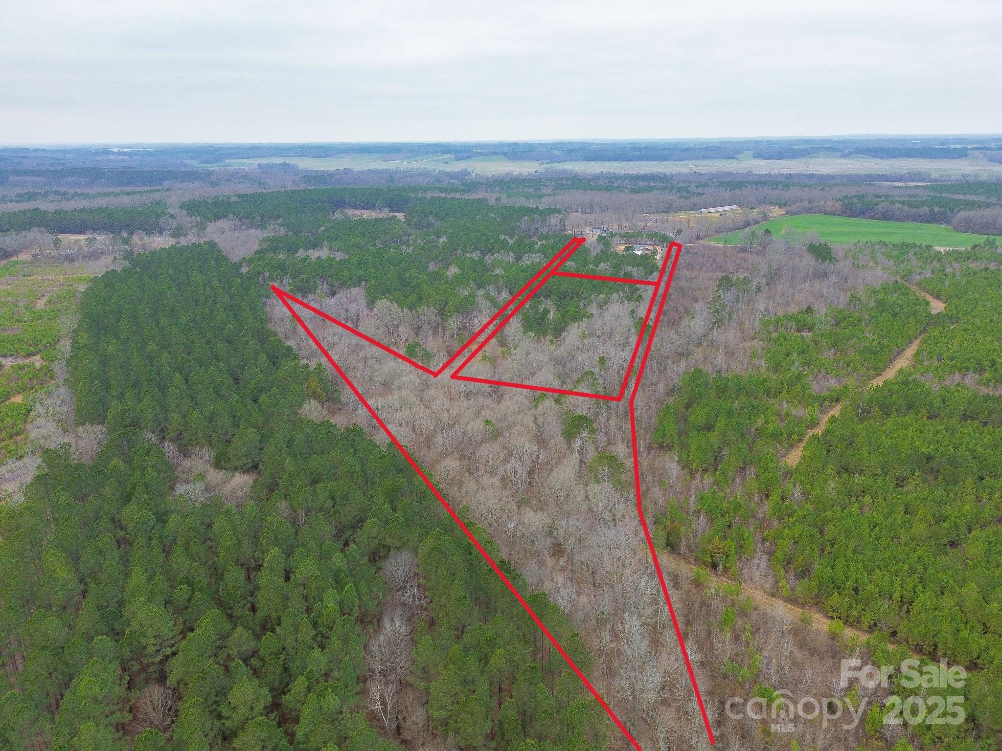 0 White Store Road Pageland, SC 29728 - Photo 12 of 13 Gallery Image 12