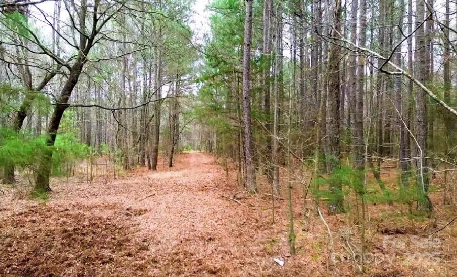 0 White Store Road Pageland, SC 29728 - Photo 3 of 13 Gallery Image 3