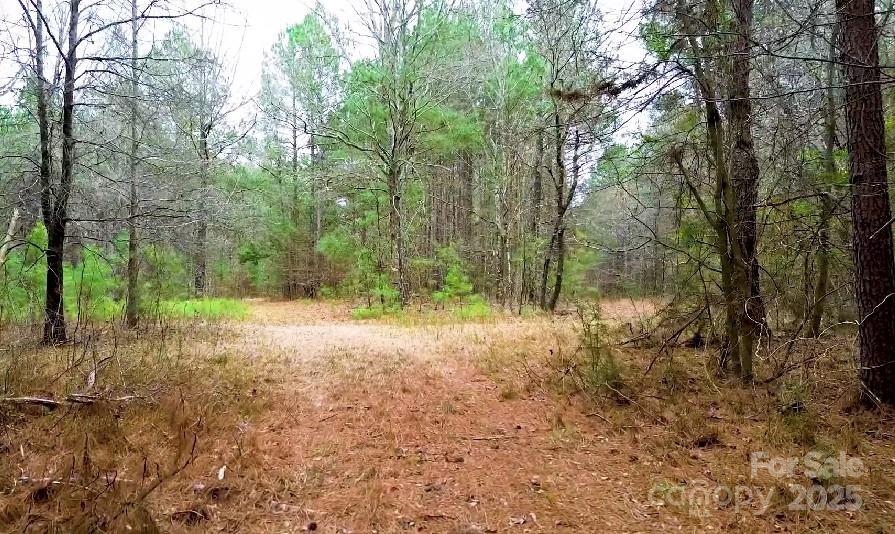 0 White Store Road Pageland, SC 29728 - Photo 4 of 13 Gallery Image 4