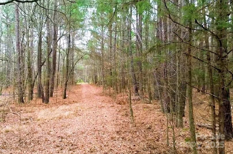 0 White Store Road Pageland, SC 29728 - Photo 5 of 13 Gallery Image 5