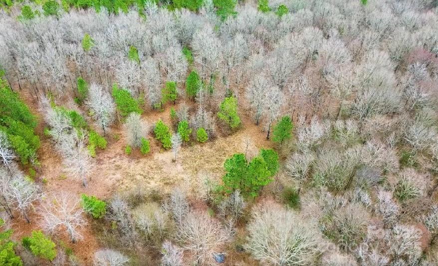 0 White Store Road Pageland, SC 29728 - Photo 6 of 13 Gallery Image 6