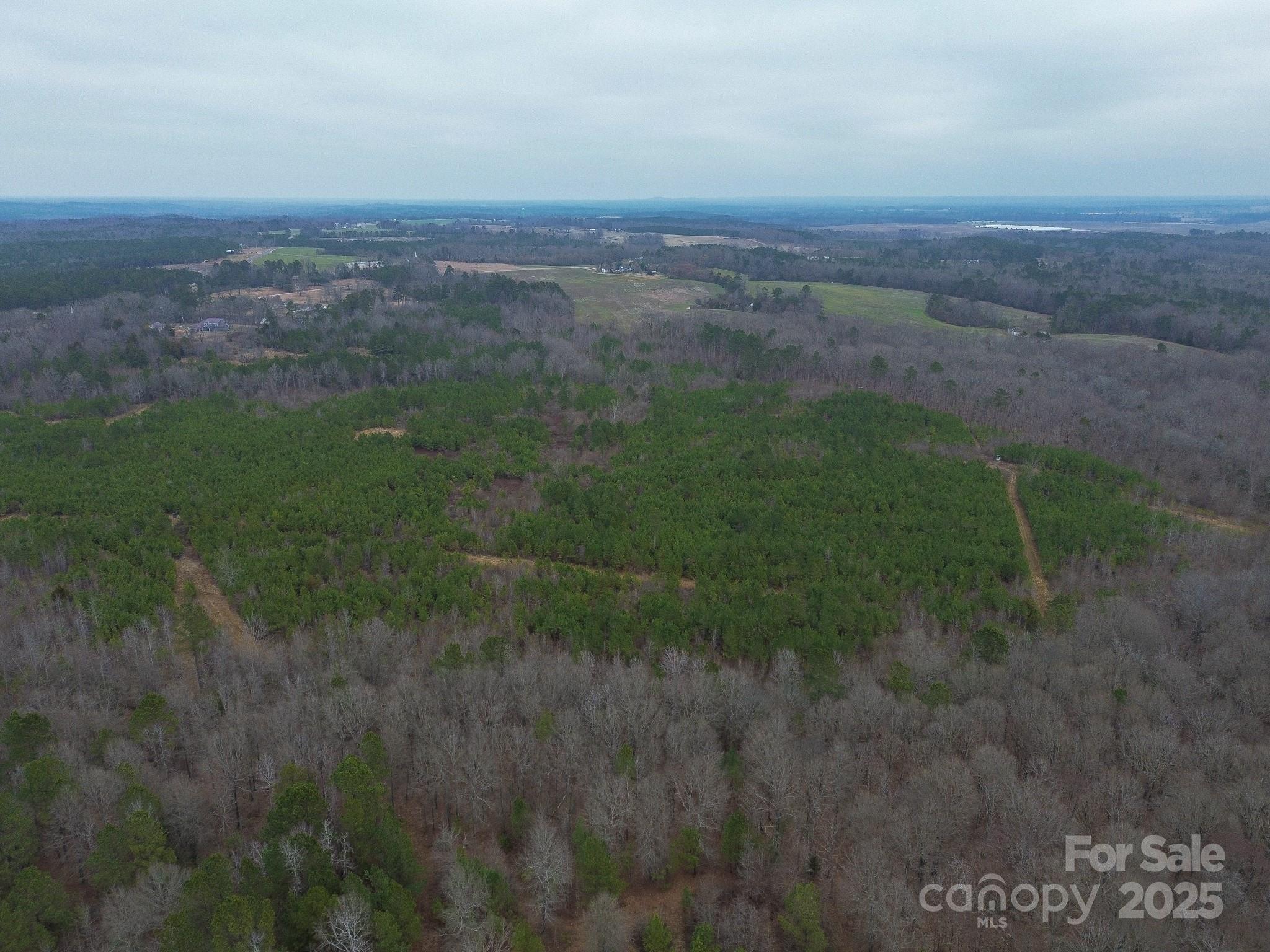0 White Store Road Pageland, SC 29728 - Photo 7 of 13 Gallery Image 7