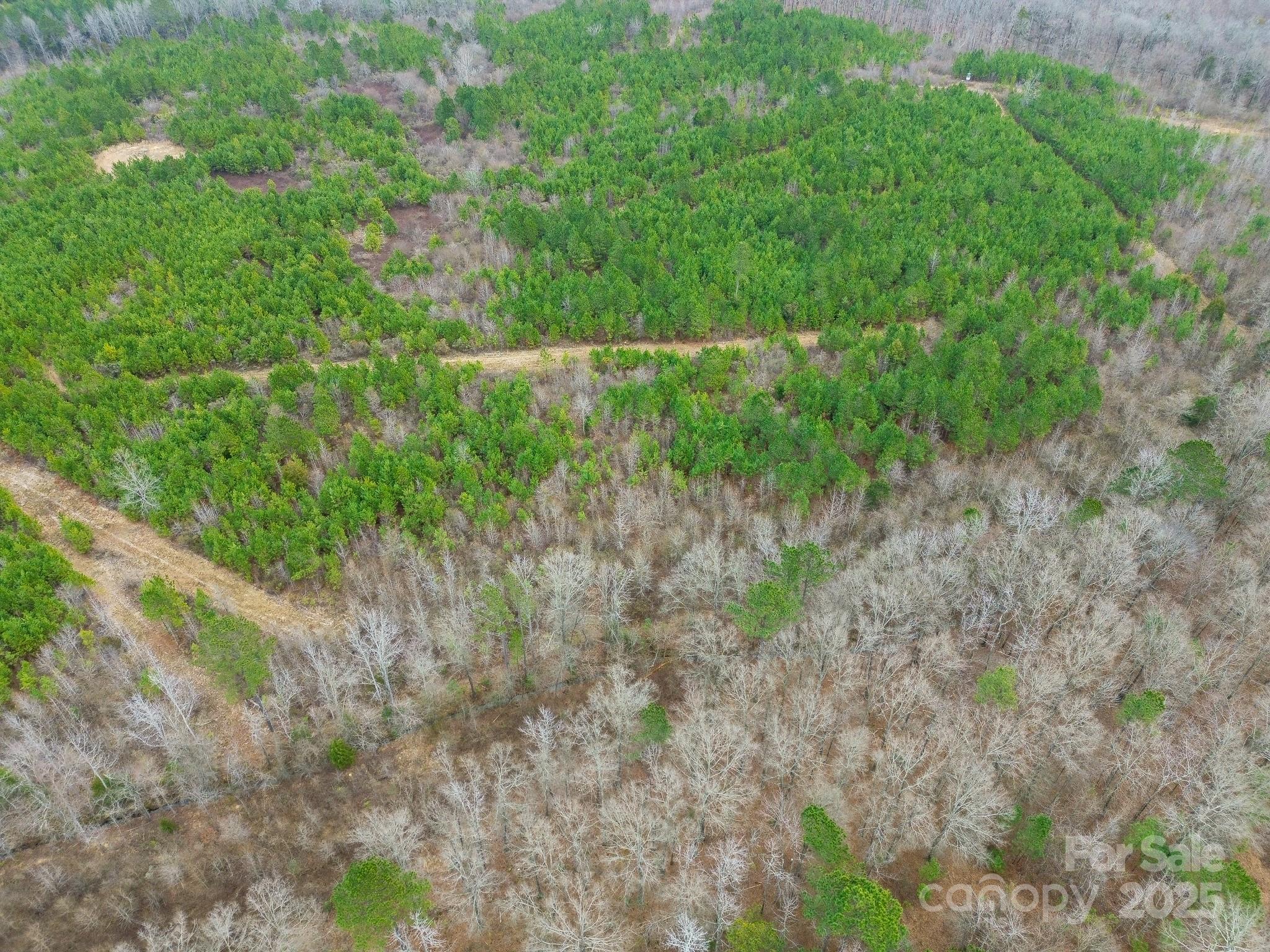 0 White Store Road Pageland, SC 29728 - Photo 8 of 13 Gallery Image 8