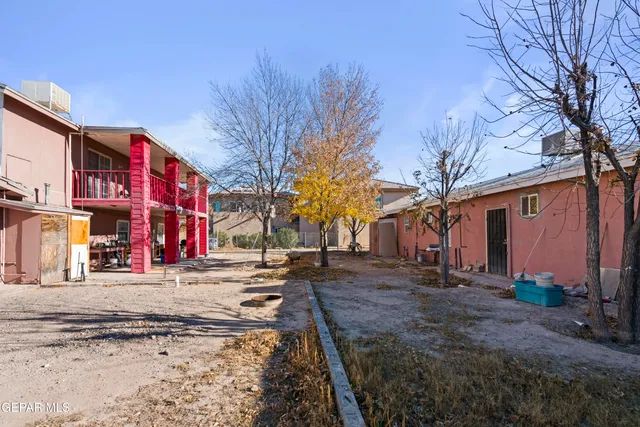 a street view with large trees