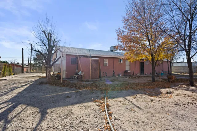 a view of a yard with a large tree